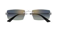 Cartier Panthère de cartier CT0598S 003 55-20 Argent