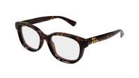 Gucci GG1978O 002 52-17 Havane