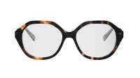 CELINE Thin CL50167I 052 54-16 Tortuga