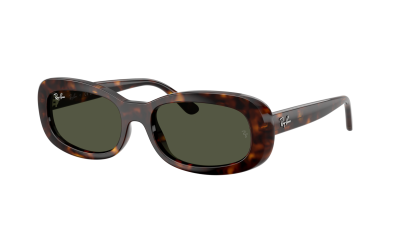 Sunglasses Ray-Ban RB2221 902/31 53-18 Havana in stock