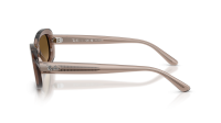Ray-Ban RB2221 6827/M2 53-18 Transparent Beige