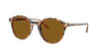 Ray-Ban Bernard RB2230 1357/33 51-21 Havana Grey and Brown