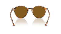 Ray-Ban Bernard RB2230 1357/33 51-21 Havana Grey and Brown
