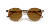 Ray-Ban Bernard RB2230 1357/33 51-21 Havana Grey and Brown