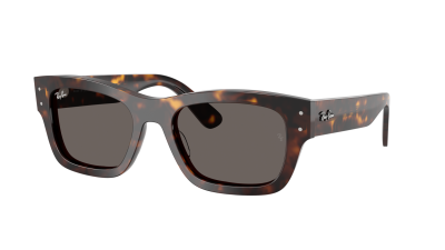 Occhiali da sole Ray-Ban Joseph RB7683S 902/B1 55-20 Havana in stock