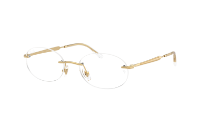 Lunettes de vue Ray-Ban RX3767V 2500 50-18 RB3767V 2500 50-18 Arista