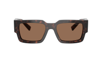Prada PR B17S 17N-06B 54-20 Root tortoise