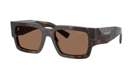 Prada PR B17S 17N-06B 54-20 Root tortoise