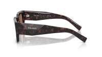 Prada PR B17S 17N-06B 54-20 Root tortoise