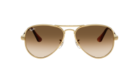 Ray-Ban Aviator max RB3925 001/51 62-16 Arista