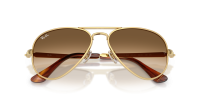 Ray-Ban Aviator max RB3925 001/51 62-16 Arista