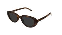 Saint Laurent Monogram SL M154 003 55-19 Havane