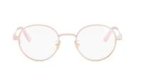 DIOR DIORCANNAGEO R1U E000 50-21 Roze