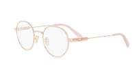 DIOR DIORCANNAGEO R1U E000 50-21 Roze