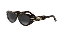 DIOR DIORSIGNATURE B8U 24A1 53-17 Escama