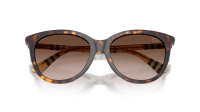 Burberry BE4455 4216/13 55-17 Dark havana