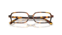 Miu Miu MU 01YV 14L1O1 51-16 Havana Honey