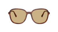Miu Miu Regard MU B01S 26E10R 58-18 Stripped Tobacco