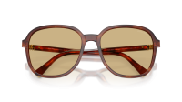 Miu Miu Regard MU B01S 26E10R 58-18 Stripped Tobacco