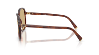 Miu Miu Regard MU B01S 26E10R 58-18 Stripped Tobacco