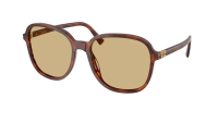 Miu Miu Regard MU B01S 26E10R 58-18 Stripped Tobacco