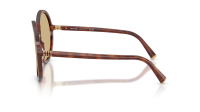 Miu Miu Regard MU B02S 26E10R 59-20 Stripped Tobacco