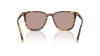 Miu Miu Regard MU B03S 14L20I 53-17 Honey Havana