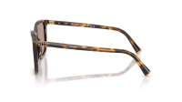 Miu Miu Regard MU B03S 14L20I 53-17 Honey Havana