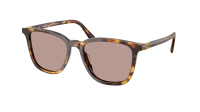 Miu Miu Regard MU B03S 14L20I 53-17 Honey Havana