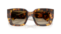 Miu Miu Glimpse MU B05S 14L20U 51-21 Honey Havana