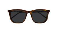 Saint Laurent Sl logo SL 851 003 56-17 Havanna
