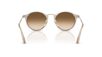 Persol PO3166S 1240/51 51-22 Transparent Brown