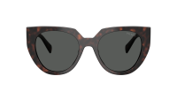 Prada Eyewear PR 14WS 17N-40L 52-20 Root tortoise
