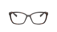 Prada PR 15ZV 17N-1O1 53-16 Root tortoise