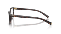 Prada PR 15ZV 17N-1O1 53-16 Root tortoise