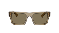 Prada Symbole PR 19WS 29E-90F 52-21 Terra