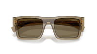 Prada Symbole PR 19WS 29E-90F 52-21 Terra