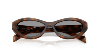 Prada Symbole PR 26ZS 20D-50Q 55-16 Juniper Tortoise