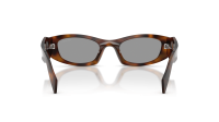 Prada Symbole PR B16S 20D-50Q 50-21 Juniper Tortoise