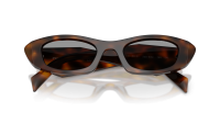 Prada Symbole PR B16S 20D-50Q 50-21 Juniper Tortoise