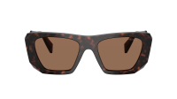 Prada Symbole PR B18S 17N06B 53-19 Root tortoise