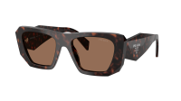 Prada Symbole PR B18S 17N06B 53-19 Root tortoise