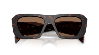 Prada Symbole PR B18S 17N06B 53-19 Root tortoise