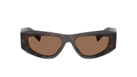 Prada Symbole PR B19S 17N-06B 52-17 Root tortoise