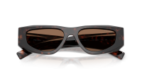 Prada Symbole PR B19S 17N-06B 52-17 Root tortoise