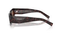 Prada Symbole PR B19S 17N-06B 52-17 Root tortoise