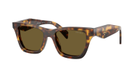 Prada PR C07S 14L-09Z 51-18 Honey Tortoise