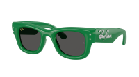 Ray-Ban Wayfarer puffer Edition swarovski RB4940B 6859/87 47-23 Green with strass