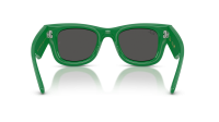 Ray-Ban Wayfarer puffer Edition swarovski RB4940B 6859/87 47-23 Green with strass