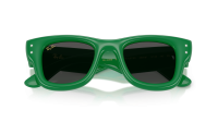 Ray-Ban Wayfarer puffer Edition swarovski RB4940B 6859/87 47-23 Green with strass